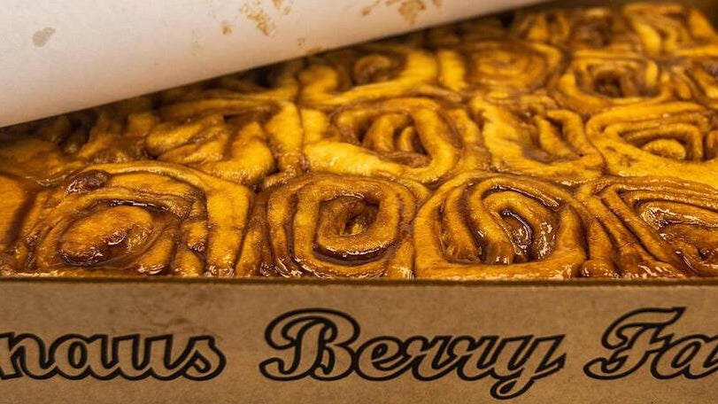 Knaus Berry Farm opens for its 70th season with changes to how customers can get its famous cinnamon rolls — CBS Miami, St. Augustine Business news