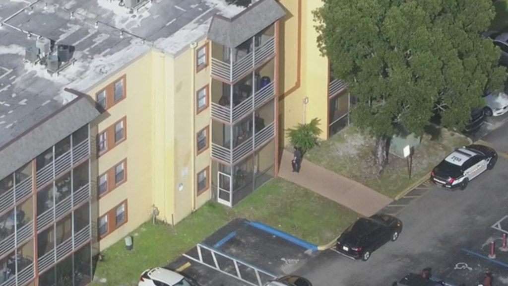10-year-old girl hospitalized after 8-year-old brother throws knife and hits chest, Lauderhill police say — CBS Miami, St. Augustine Health news
