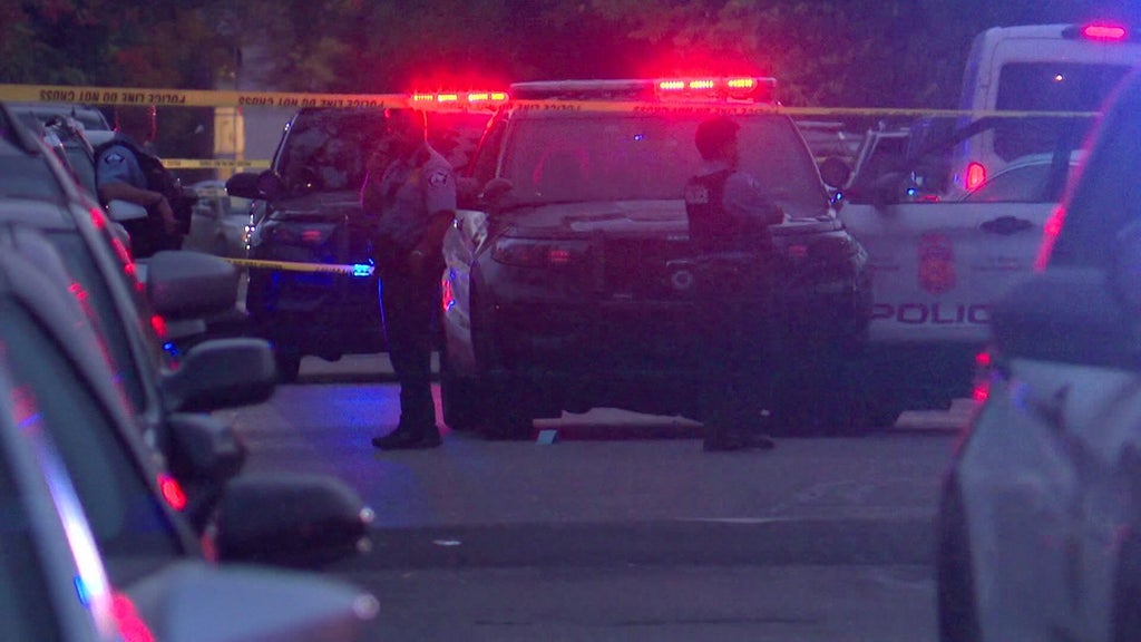 Minneapolis officer fires gun when armed teen carjacker hits squad in stolen car, police say — WCCO / CBS Minnesota, St. Augustine Health news