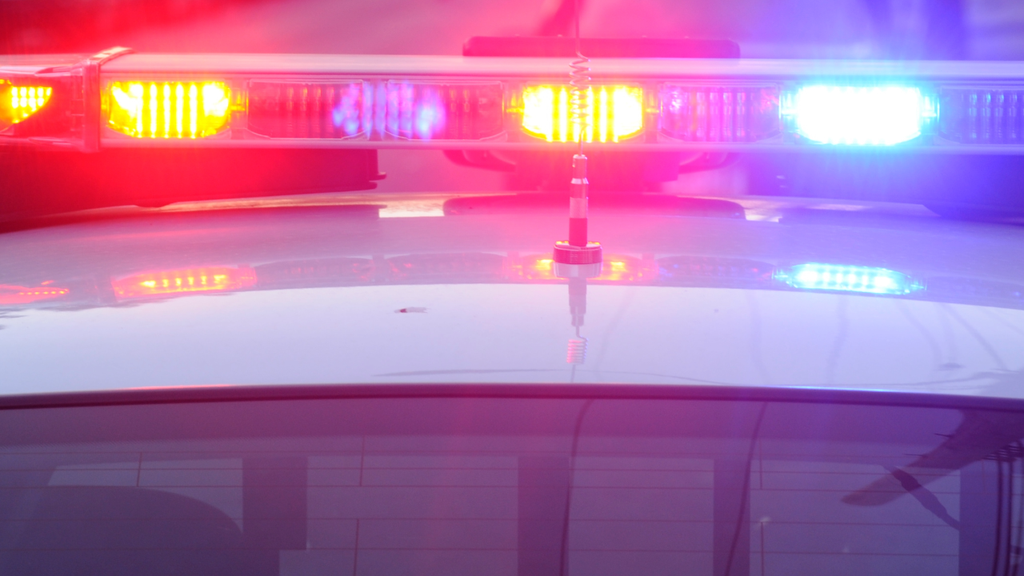 Broward man accused of trying to kidnap 13-year-old from Miramar gas station, police say — CBS Miami, St. Augustine Business news
