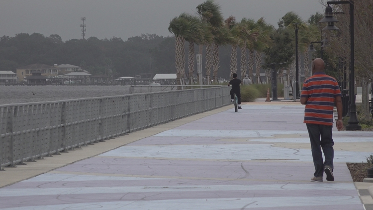 Jacksonville working to better allocate gas tax money for bike, pedestrian safety — St. Augustine Community news