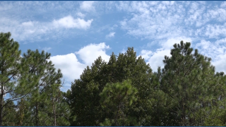 Three more agricultural enclave decisions before the St. Johns County Commission — First Coast News Local, St. Augustine Government news