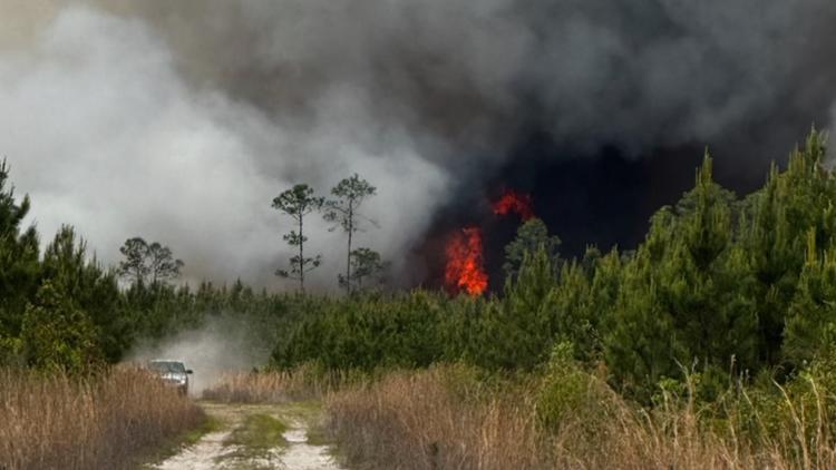 Live Updates | Containment improves on Brantley County Highway 82 fire after Saturday's rainfall — First Coast News Local