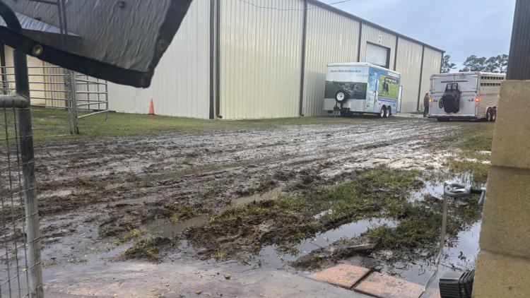 Northeast Florida Fair delays opening to Friday after heavy rain: 'Safety is paramount' — First Coast News Local, St. Augustine Community news