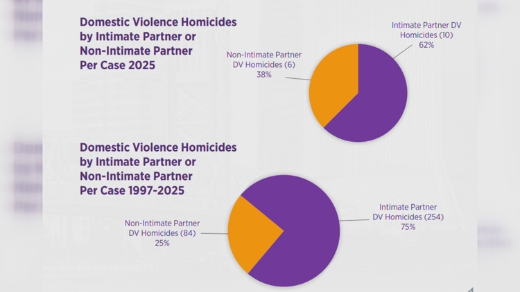 Duval County domestic violence review finds 21 deaths, highlights mental health and firearm risks — First Coast News Local, St. Augustine Health news