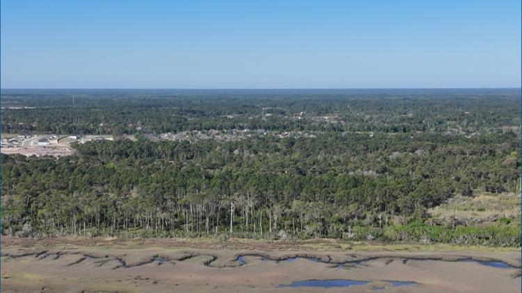 ON THE BALLOT: St. Johns County voters consider creating funding source for buying conservation land — First Coast News Local, St. Augustine Community news