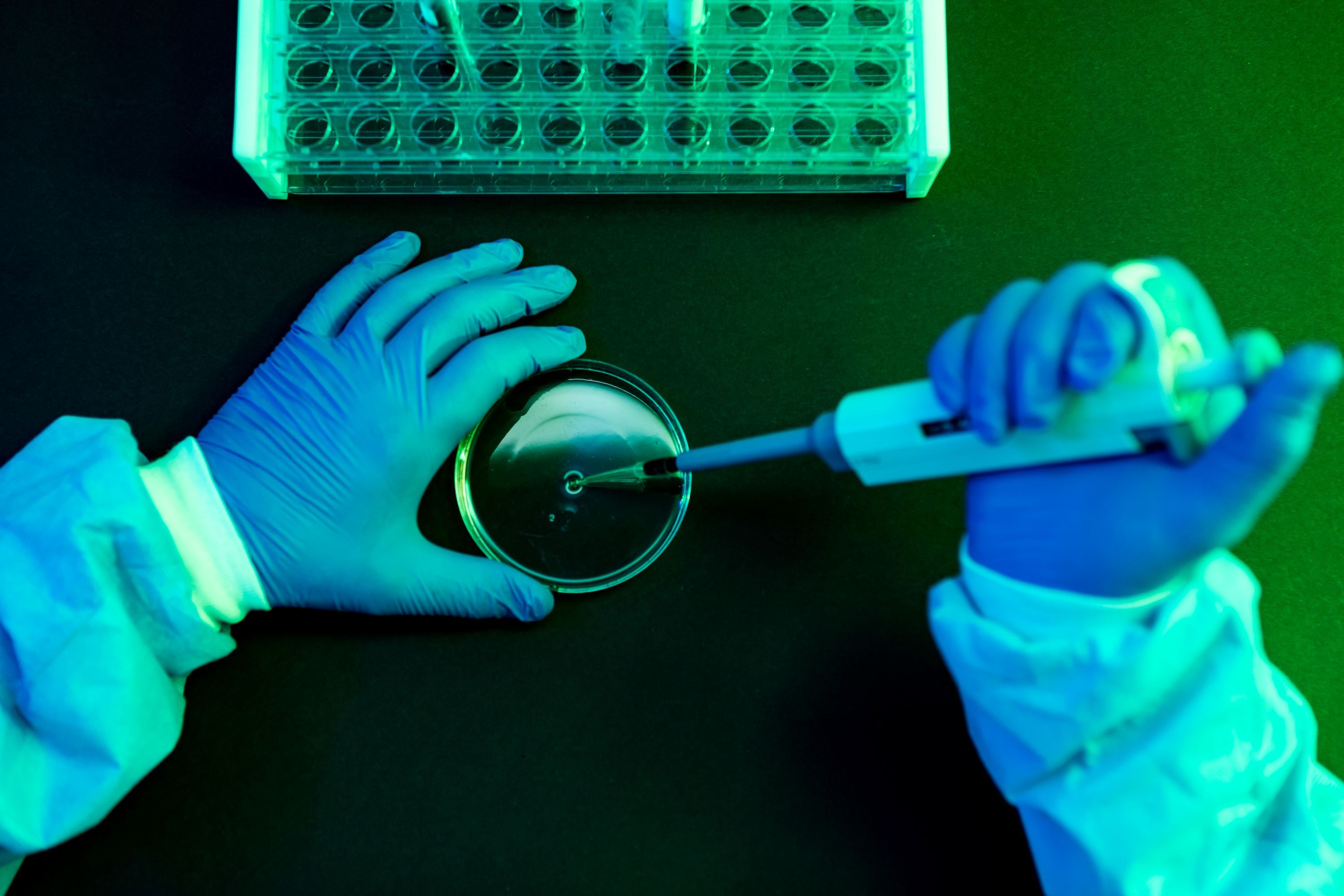 What to Know About Shamonda Virus Following the First Reported Human Infection — Wired, St. Augustine Technology news