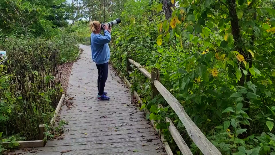 Moment in Wisconsin: Art on the Lakefront — CBS 58 Milwaukee