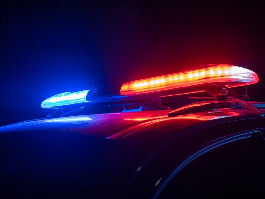 Police Training Taking Place In Coyote Hills, School In Fremont. What To Know — Piedmont Patch, St. Augustine Schools news