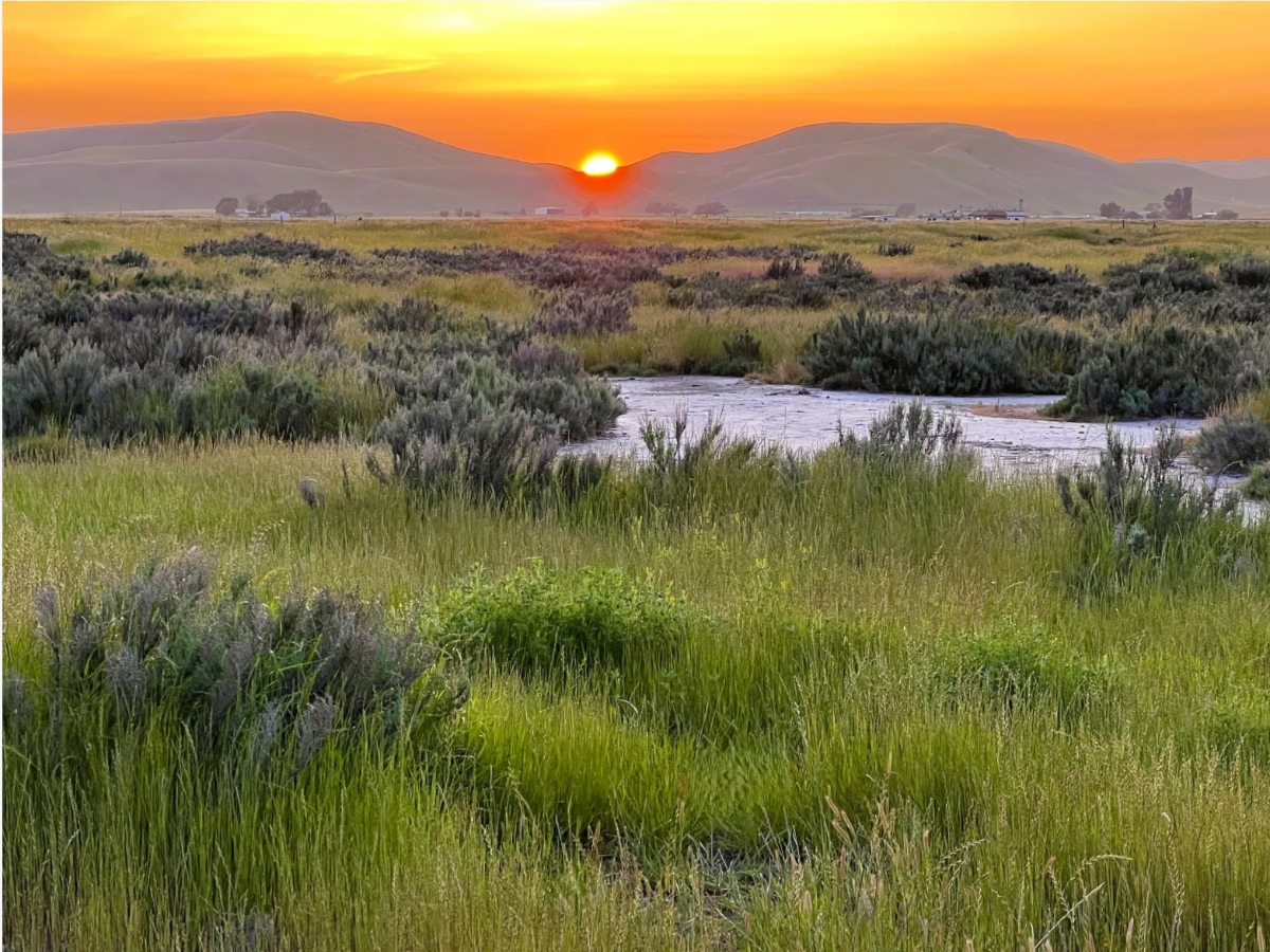 331 Acres Of Tri-Valley Wildlife Habitat, Open Space Permanently Protected — Danville Patch, St. Augustine Community news