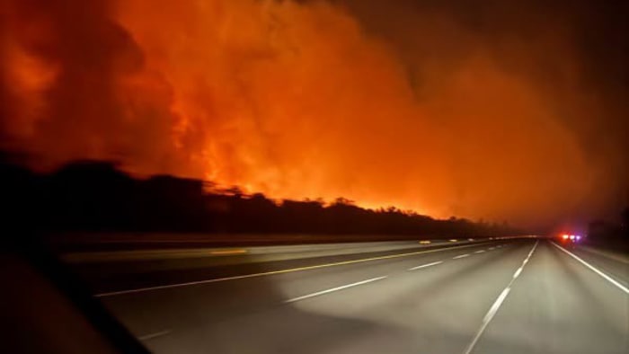 800-acre Camden County wildfire sparked by lightning strike fully contained — News4JAX Local, St. Augustine Government news