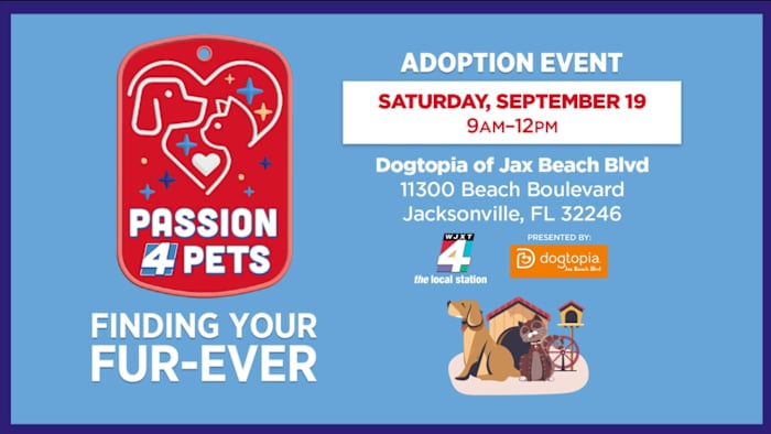 Find your fur-ever friend at Dogtopia of Jacksonville Beach Blvd’s Pet Adoption Event on Saturday, Sept. 19 — News4JAX Local, St. Augustine Community news