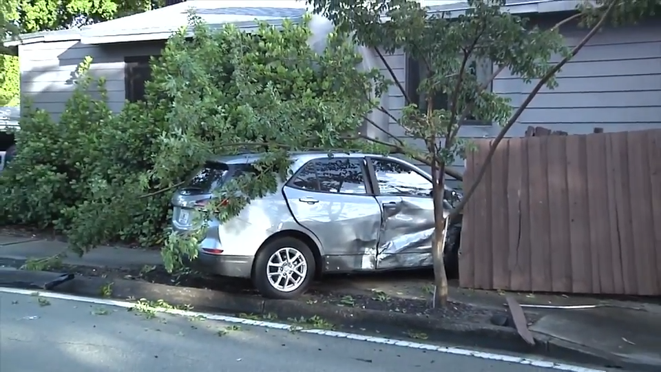 1 hospitalized after 2 car collision leads to vehicle striking tree in Fort Lauderdale — WSVN 7 Broward