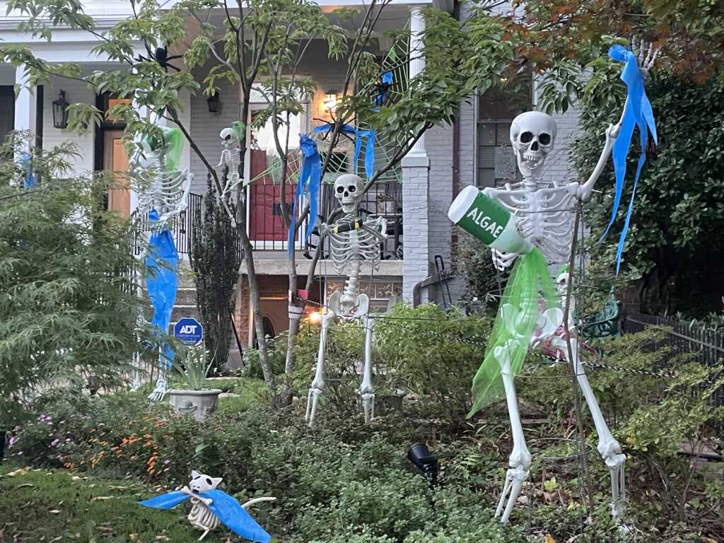 Also Scary – This Year’s Halloween Best Cont. Algae and Traffic editions — PoPville DC